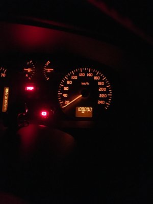 100.000.JPG